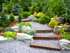landscaping